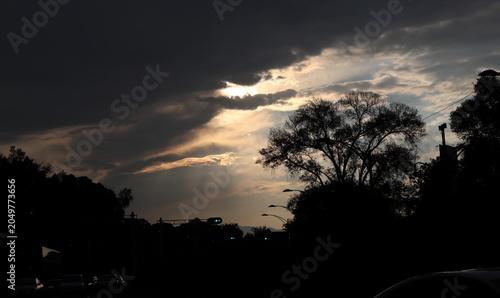 sunset with clouds and silhouette of trees
