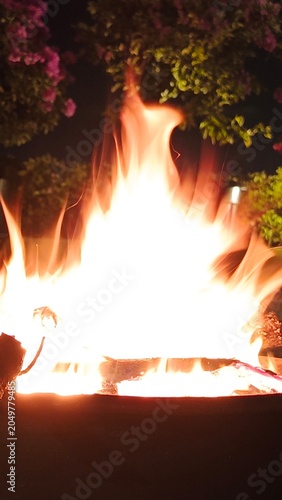 Blazing fire pit flames close up