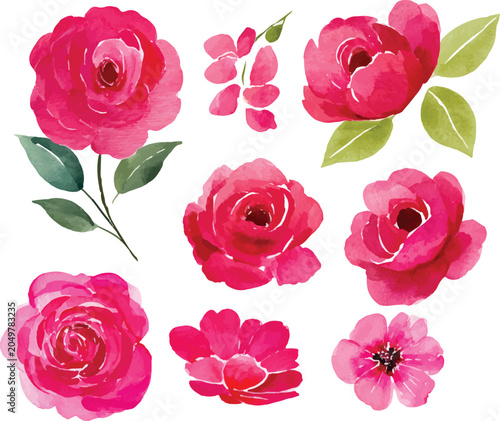 set of pink roses