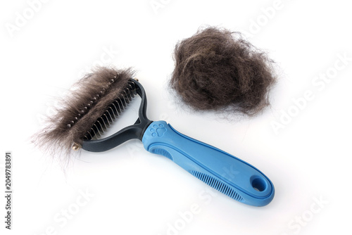 Obraz na płótnie Grooming comb brush tool filled has a blue handle with loose animal hair next to a pile of shed fur, isolated on white background