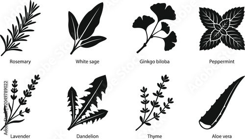 Medicinal herbs and aromatic plants icon set featuring black silhouettes of rosemary, lavender, peppermint, and aloe vera