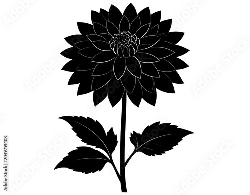 A black and white image of a flower with leaves on a stem