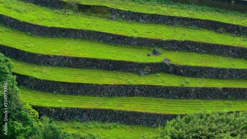 Aerial View of the  Green Terraced Fields in Taiwan