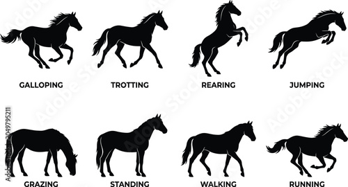 Canvastavla Vector set of black horse silhouettes in various dynamic poses including galloping, jumping, rearing, and walking