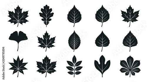 Bild auf Leinwand Collection of Diverse Autumn Leaf Silhouettes