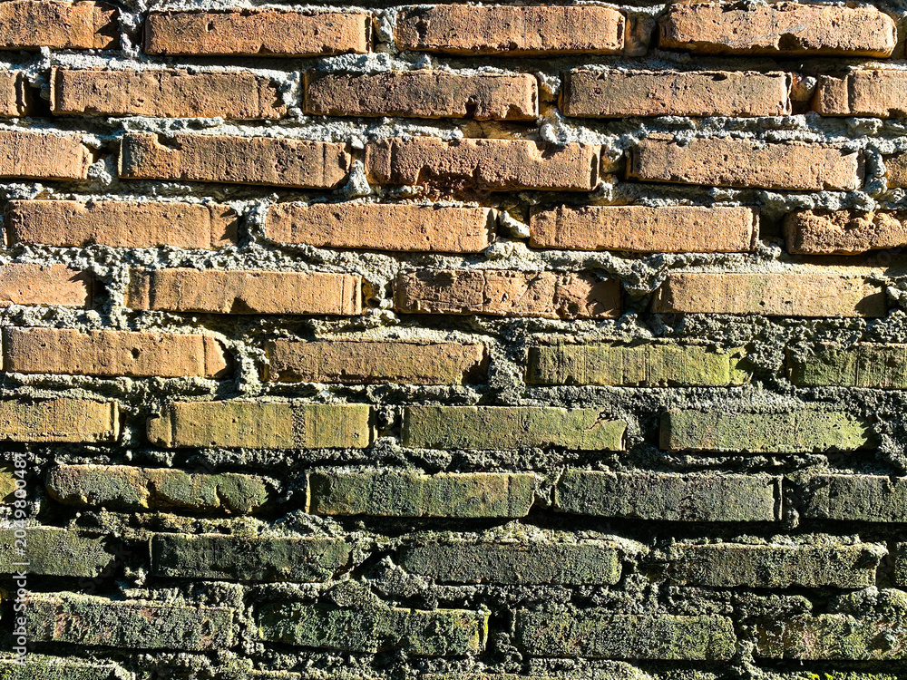 Naklejka premium Full-frame view of an exposed red brick wall with green moss