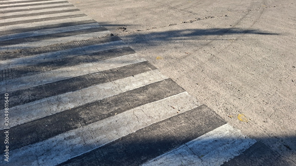 Obraz premium High Angle View of a Zebra Crossing on Concrete Road with Tree Shadows