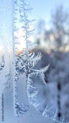 Frosty Window with Intricate Ice Crystal Patterns.