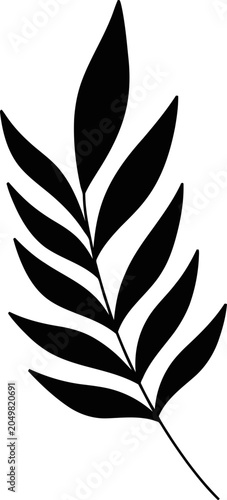 Black branch silhouette with pointed leaves on white background