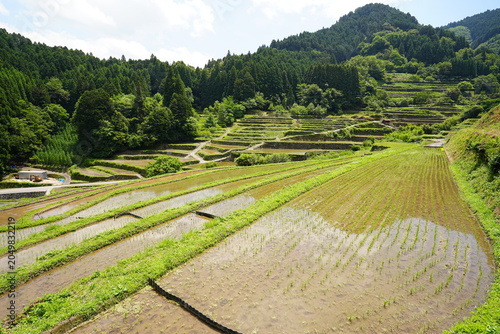 Terraced rice paddies of Hirauchi and Uebaru in Yame, Fukuoka, Japan - Traditional rural landscape - 日本 福岡県 八女市 広内・上原の棚田 日本の美しい農村風景と伝統的な里山の自然