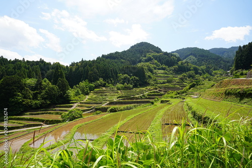 Terraced rice paddies of Hirauchi and Uebaru in Yame, Fukuoka, Japan - Traditional rural landscape - 日本 福岡県 八女市 広内・上原の棚田 日本の美しい農村風景と伝統的な里山の自然