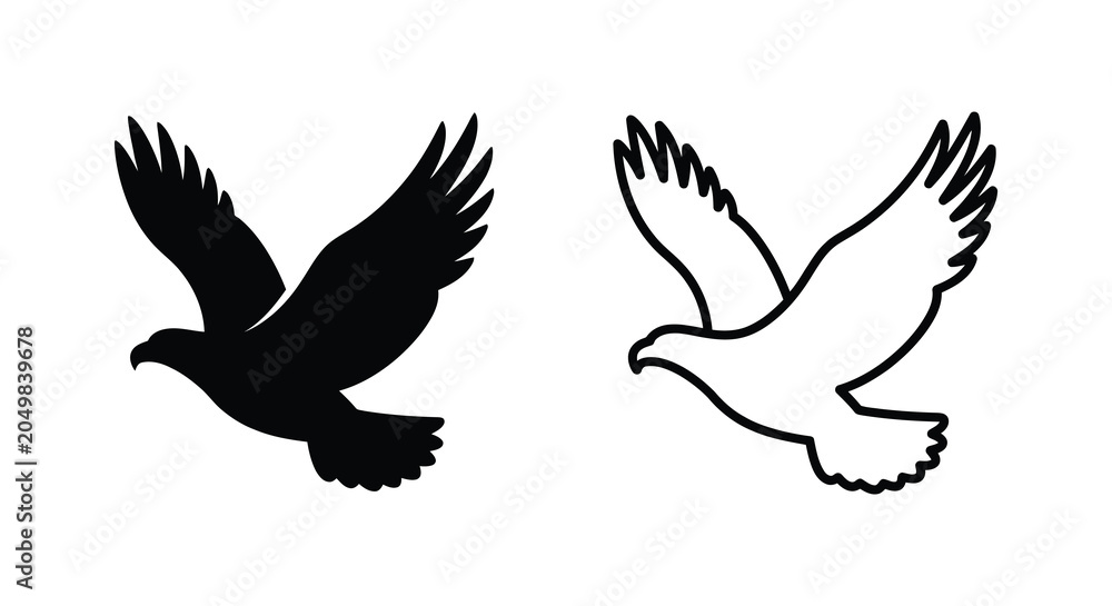 Fototapeta premium Bird Silhouette And Outline On White Background