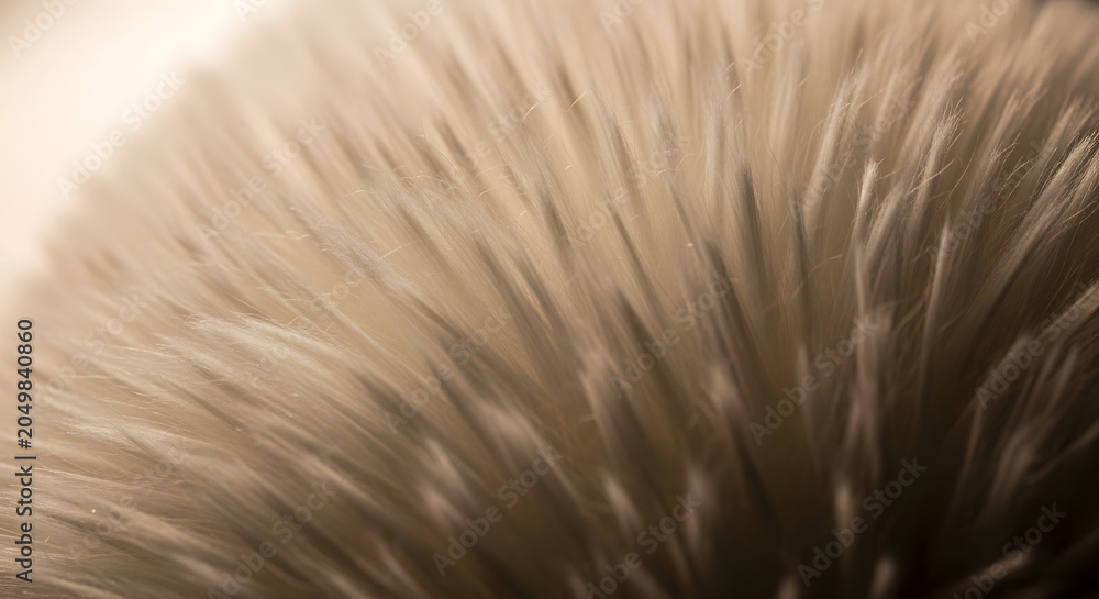 Fototapeta premium Macro Soft Focus White Feathers in Golden Sunlight