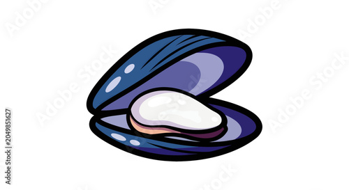 Illustration of a mussel shell.