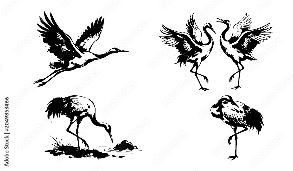 Obraz premium Hand Drawn Crane Birds Chinese Ink Painting Style Vector Collection