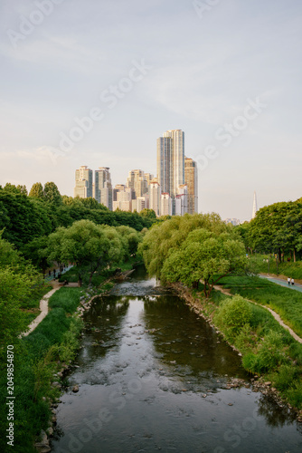 river in the city