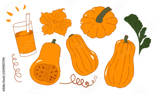 Foto Pumpkin Matilda