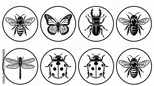 Minimalist black-and-white insect icons in square frames, featuring bee, butterfly, beetle, dragonfly, and ladybug, symbolizing nature, diversity, and stylized design for creative use.