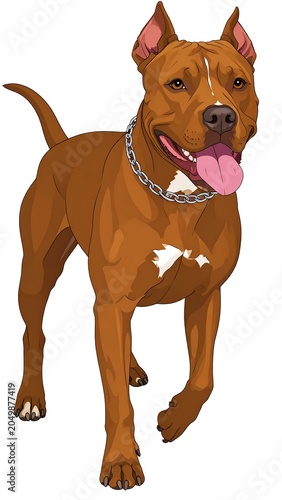 A brown dog with a chain collar and its tongue out