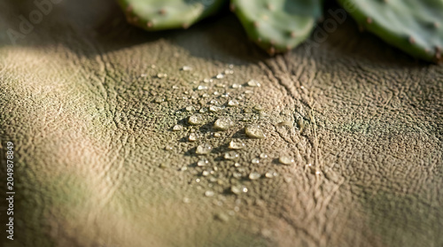 Macro close up of water droplets pooling on a textured olive green vegan cactus leather surface demonstrating waterproof material technology for sustainable fashion