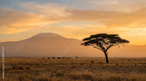 African safari landscape with elephants and Kilimanjaro at sunset