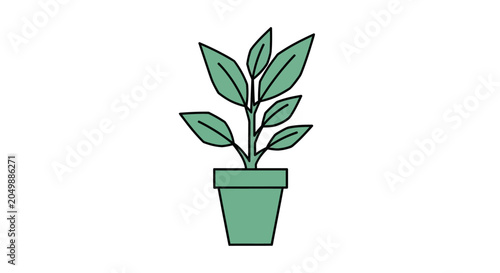 Tableau sur toile Green plant in a pot indoors.