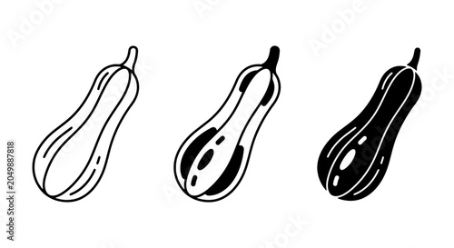 Foto Butternut Squash Vector Icons: Outline, Silhouette, and Filled Styles for Autumn