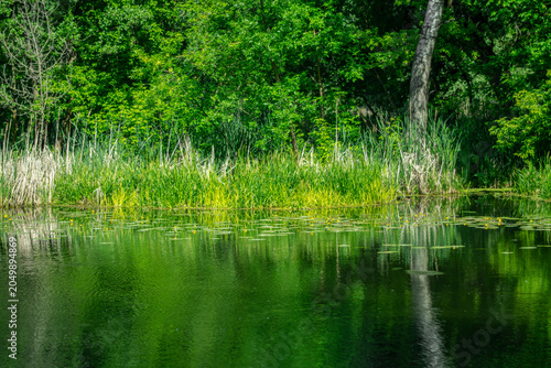 Reflections on the river on a sunny summer day.