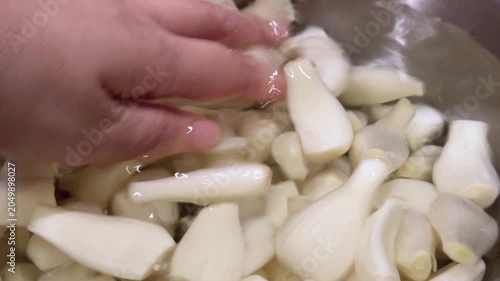 白い宝石と呼ばれるらっきょう。食用。たっぷりの水に入れたらっきょうを手で洗っている動画。