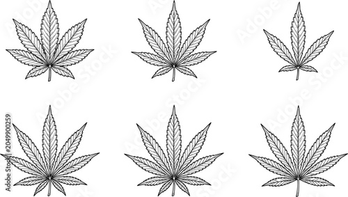 Cuadro en lienzo Set of detailed vector cannabis leaves in an engraved vintage style isolated on