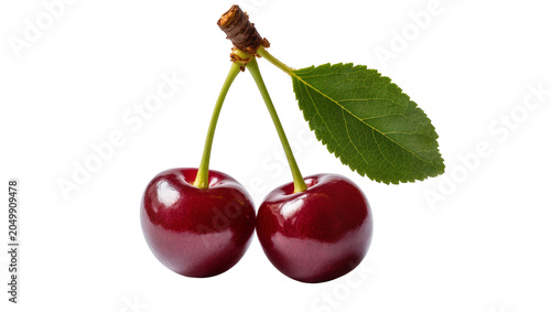 Quadro su tela Two ripe dark red cherries with green stems and leaf, isolated on transparent ba