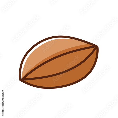 Simple vector illustration of a brown almond nut.