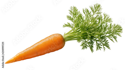 Obraz na płótnie Fresh orange carrot with vibrant green leafy tops, isolated on transparent backg