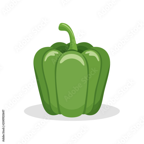 Fresh green bell pepper vegetable isolated graphic illustration