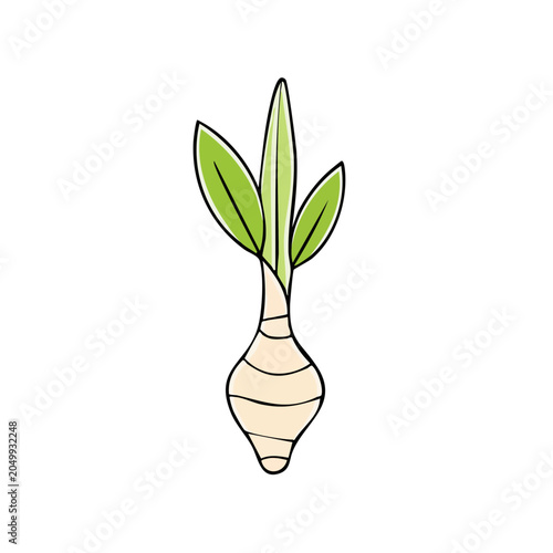 A simple cartoon illustration of a young plant sprouting from a bulb with green leaves