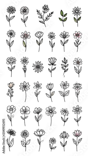 Floral Doodles Isolated.