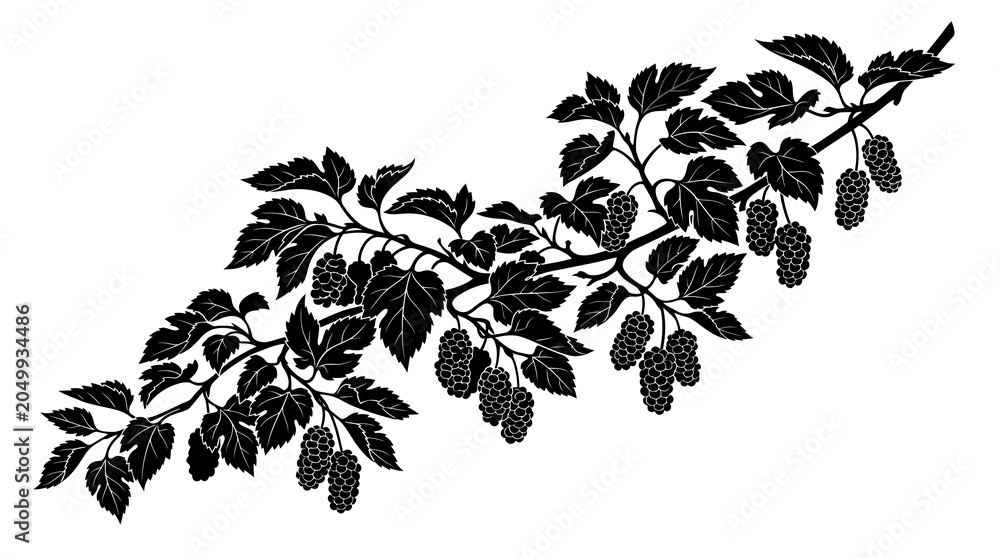 Fototapeta premium Mulberry Branch Silhouette Vector Illustration