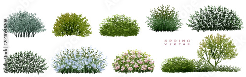 Vector set of Top view tree for outdoor plan or map and architecture drawing, elements for environment and garden ,botanical elements ,Blooming flowers in spring,tropical plants element