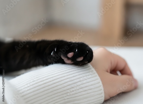 A closeup of a black cats paw resting gently on a persons wrist wearing a white sweater, showing soft toe beans and tiny claws in a tender moment of connection
