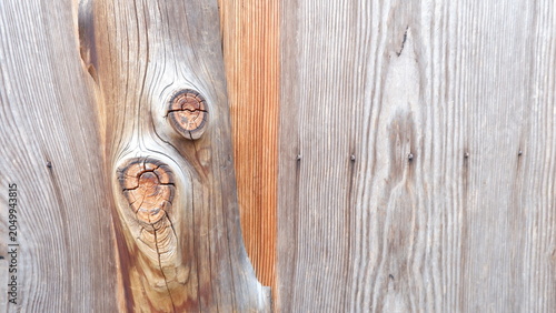 Natural wood grain texture with distinctive knots and weathered patterns on wooden surface. Rustic timber background, organic material detail, abstract wood texture, and carpentry design concept.
