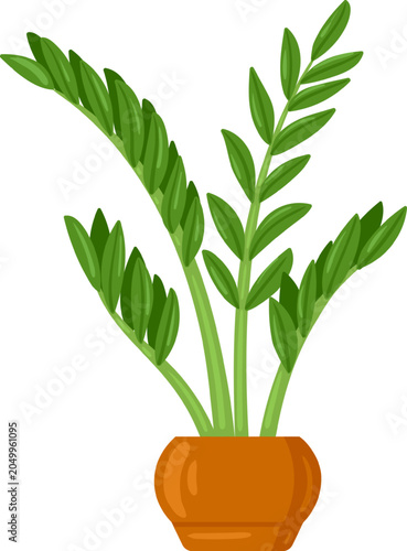 Potted ZZ plant bringing green decor and fresh indoor living