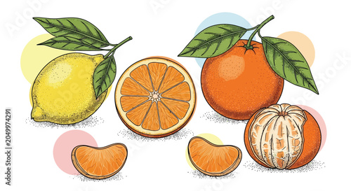 Canvastavla Assortment of citrus fruits including whole lemon orange and tangerine slices