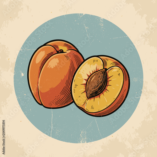 Ripe Apricots Illustrated in Vintage Style within Circular Frame