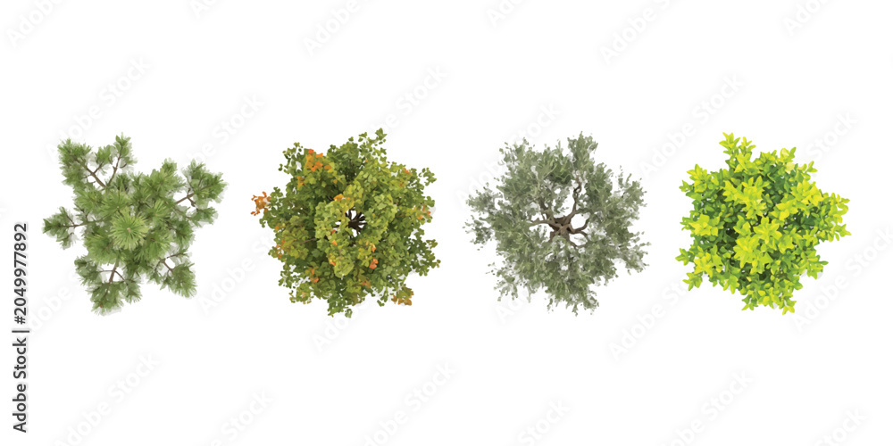 Obraz premium Set of four different green trees seen from above for landscape design and architectural planning