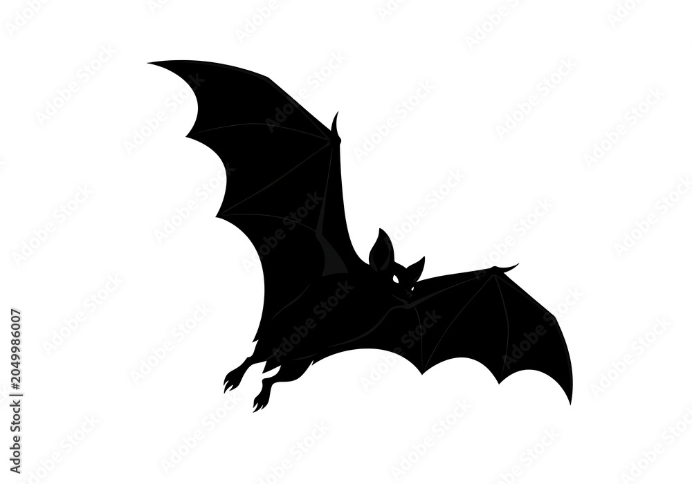 Fototapeta premium Bat Silhouette in Flight Isolated on White Background