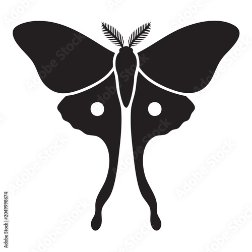 Luna Moth Glyph Icon Black Silhouette Long Tails Eyespot Flat Design Vector