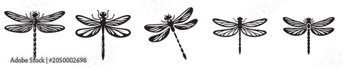 dragonfly silhouette