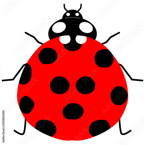 A cute minimal red ladybug illustration with black and white spots and geometric shapes