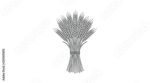 Konstfotografi Hand Drawn Wheat Sheaf Vector Illustration