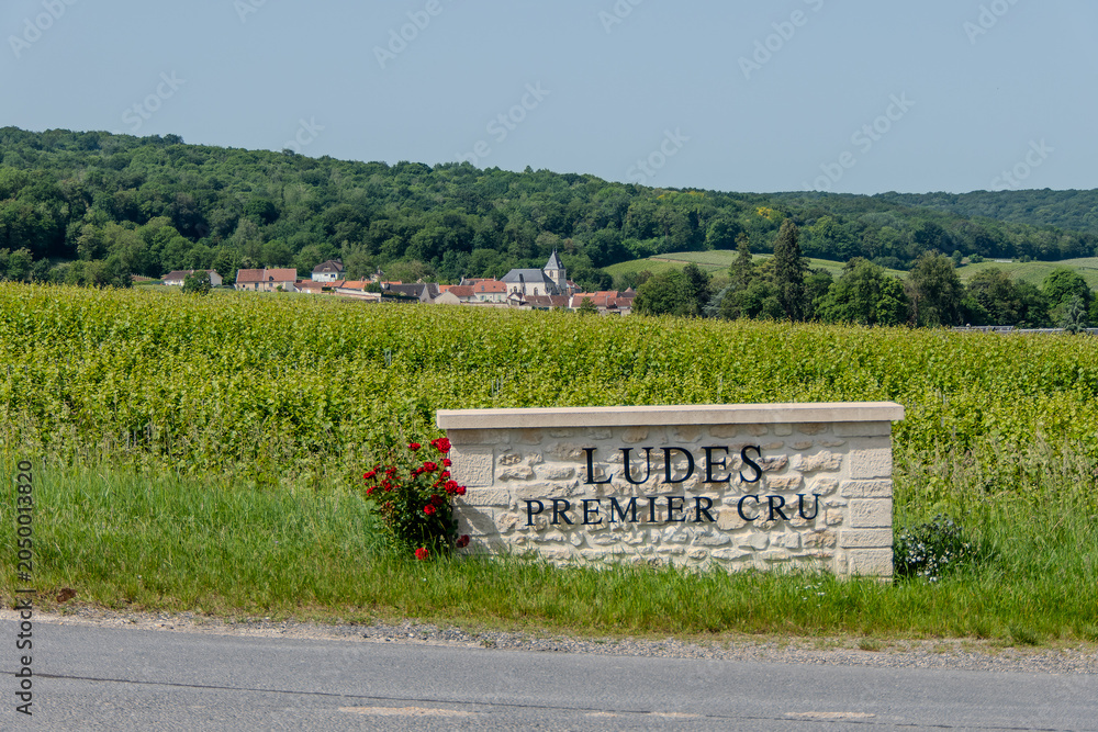 Obraz premium Epernay, France, May 24, 2026. A scenic view of a stone welcome sign reading Ludes Premier Cru